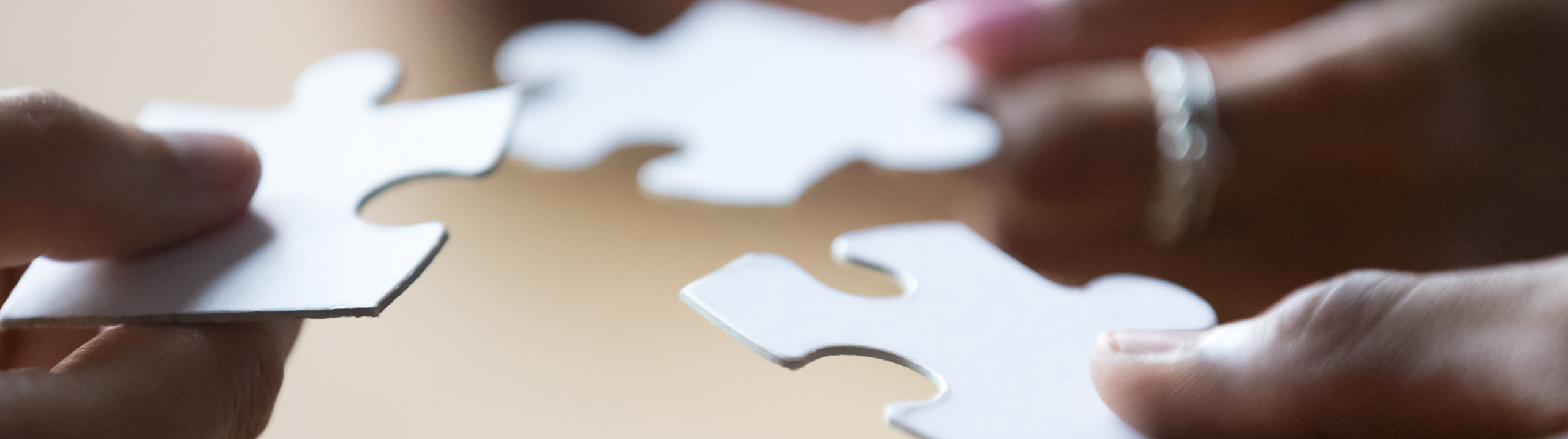 Closeup view hands of multiethnic people holding pieces of puzzle